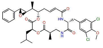 Cryptophycin 31